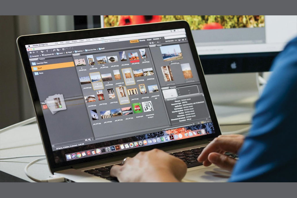 procesul-de-creare-website-sarghy-design